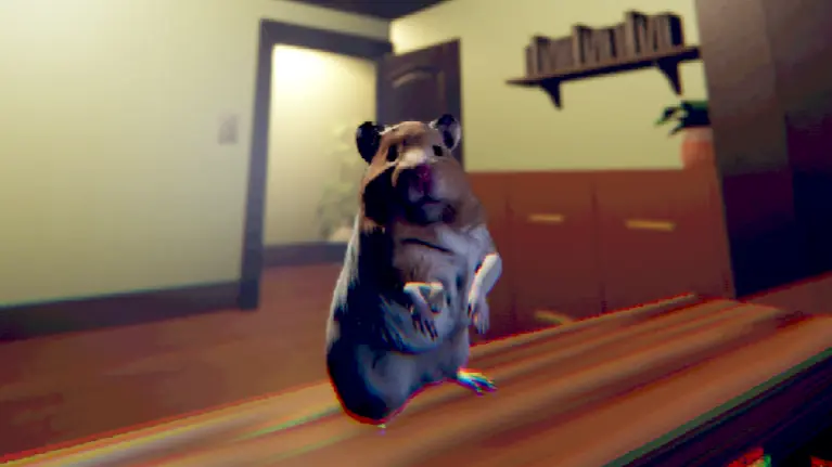 Hamster standing at the edge of its enclosure in front of bedroom furniture